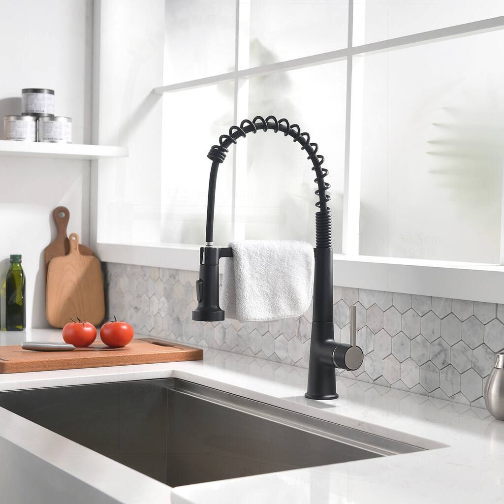 Kitchen Sink Faucet with Pull Down Sprayer and Modern Design