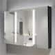 LED Bathroom Medicine Cabinet Double Door with Mirror Defogging - On ...