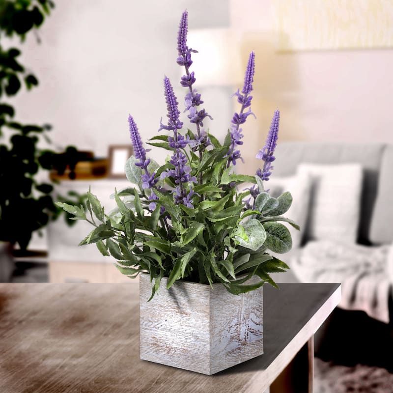 Lavender & Lambsear In Wood Box 14"
