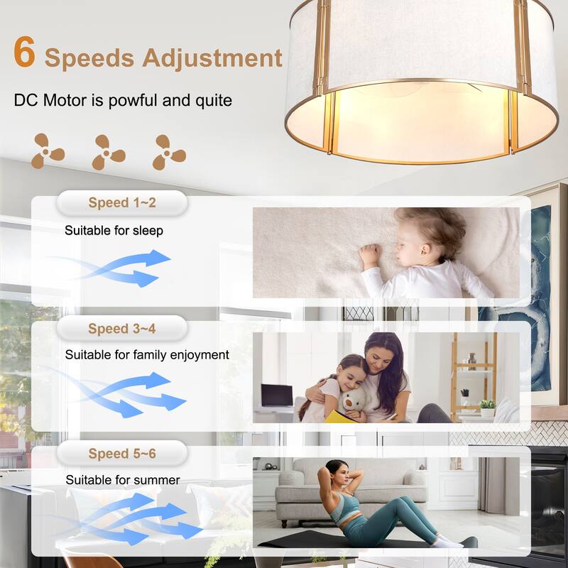 Bella Depot 19" Modern Caged Ceiling Fan with Light Kit and Remote Control 6-Speed Reversible DC Motor - 19”