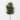 Artificial Juniper Stem Green 28"H - 10"L x 4"W x 28"H