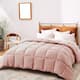 Option Pink