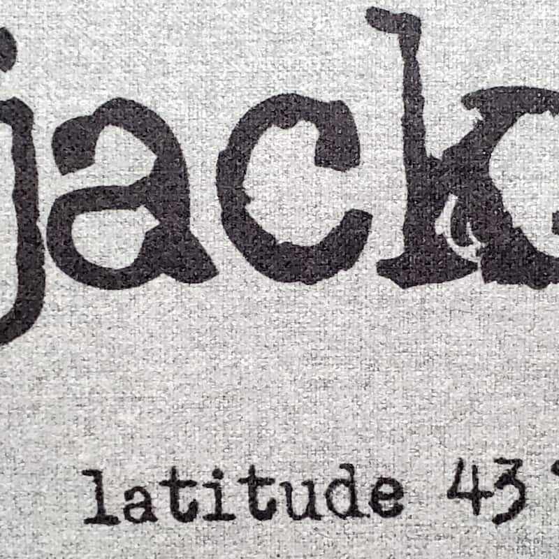 Jackson Hole Felt Coordinates Throw Pillow