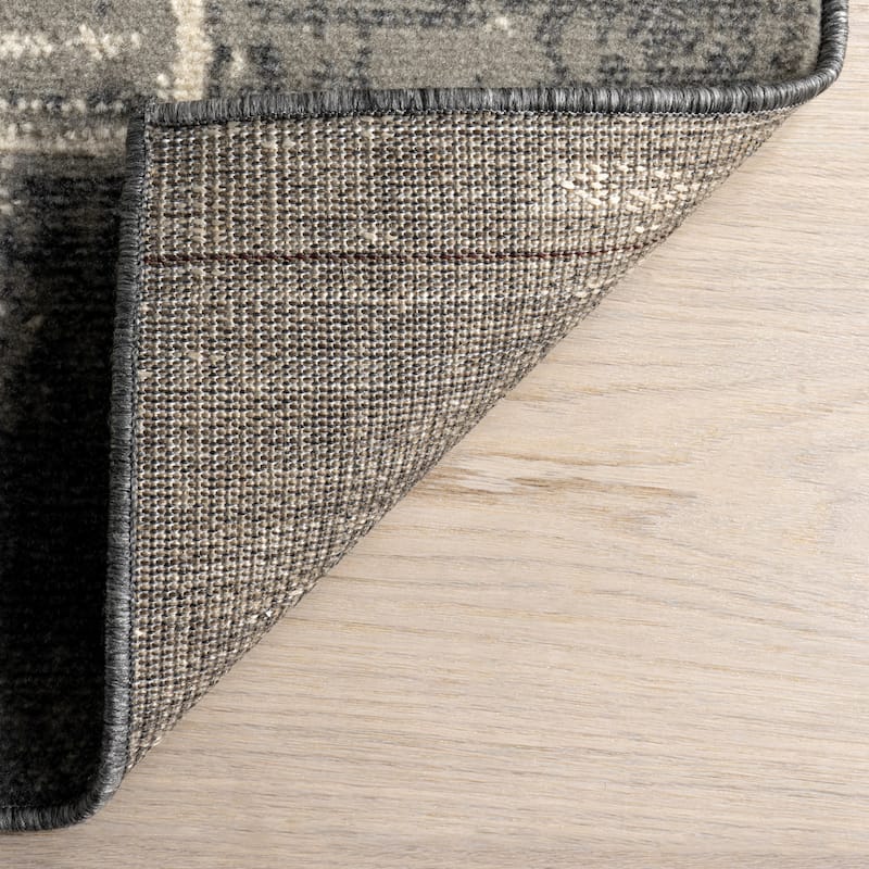 Nuloom Casiane Vintage Bordered Area Rug