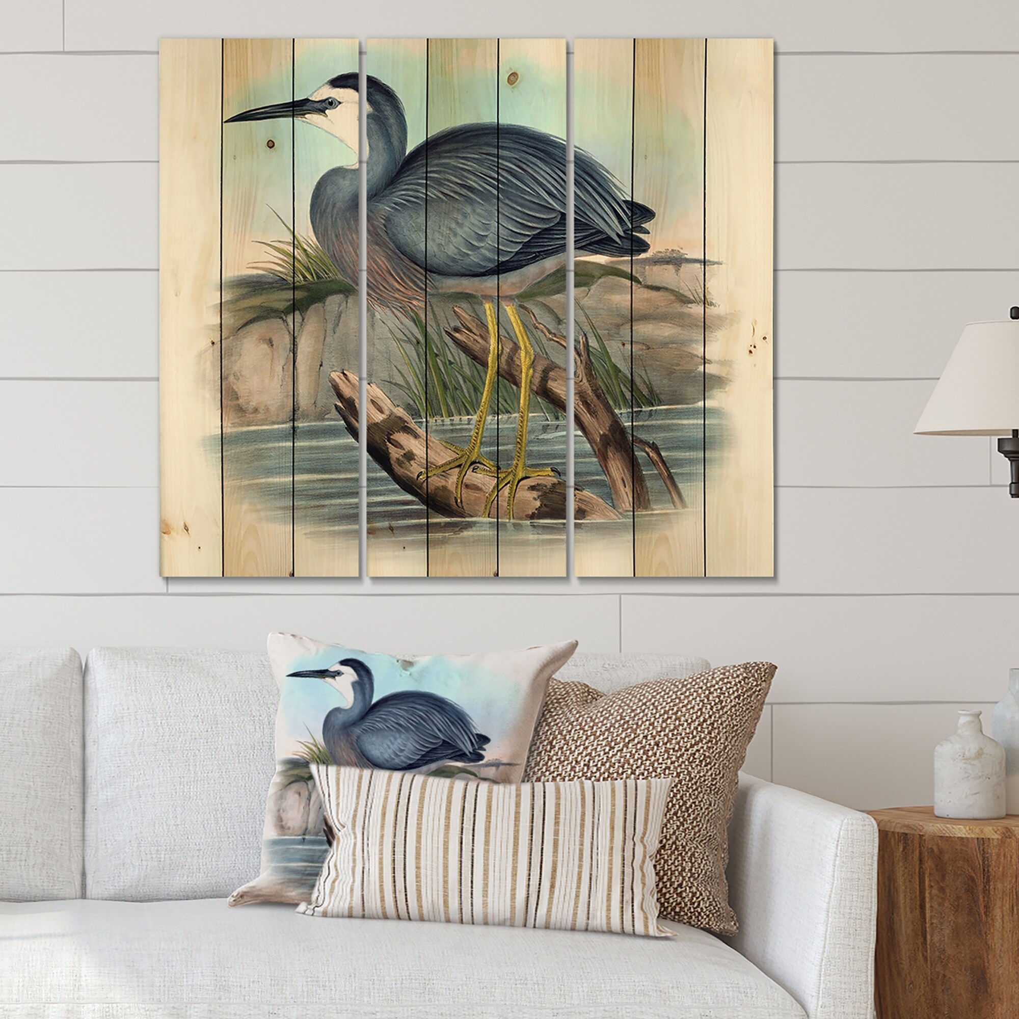 Designart 'Vintage Australian Birds II' Traditional Print on-image