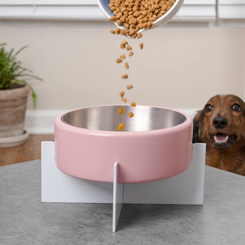 Intersecta Concrete & Steel Pet Feeder - 16oz with Metal Stand