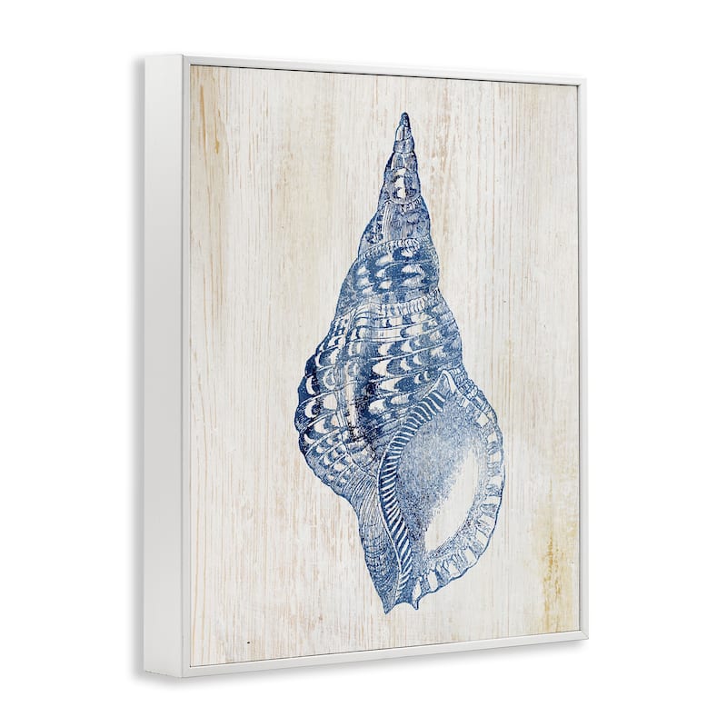 Stupell Tranquil Blue Shell Framed Giclee Art Design By Susan Arnot