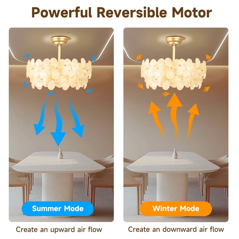 22 in. Indoor Gold Glass Flower Ceiling Fan with Light, Caged Fandelier with Remote Control, 6 Speeds for Bedroom