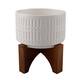 Option White