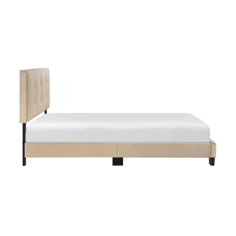 Full Size Velvet Platform Bed with Adjustable Height Headboard and Button Tufted Design