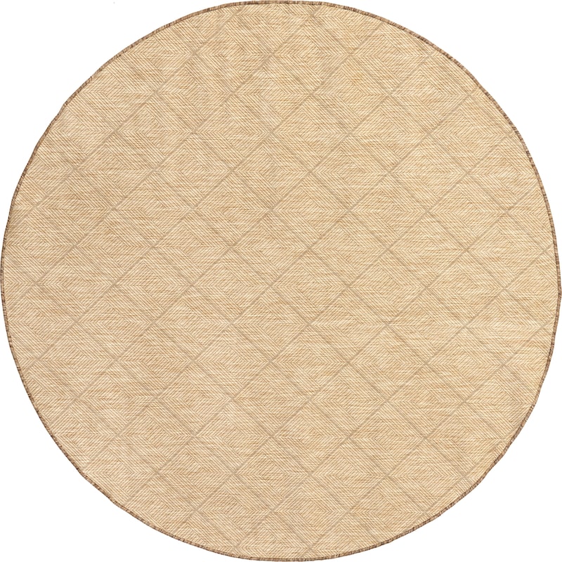 Nuloom Ray Diamond Indoor/Outdoor Area Rug