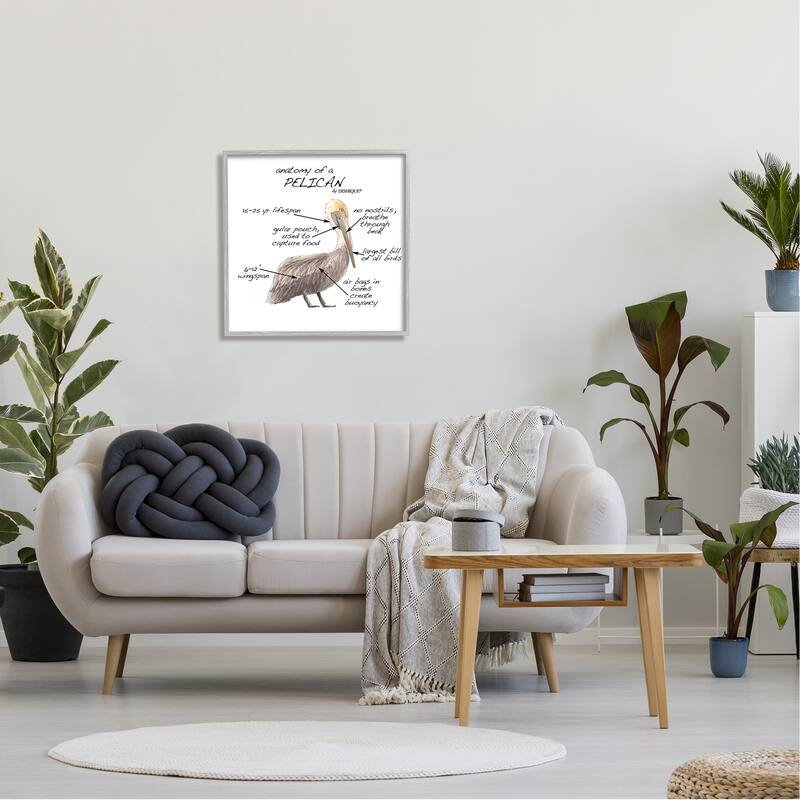 Stupell Pelican Sea Bird Animal Educational Anatomy Diagram Framed Wall Art, Design by Dishique - Beige