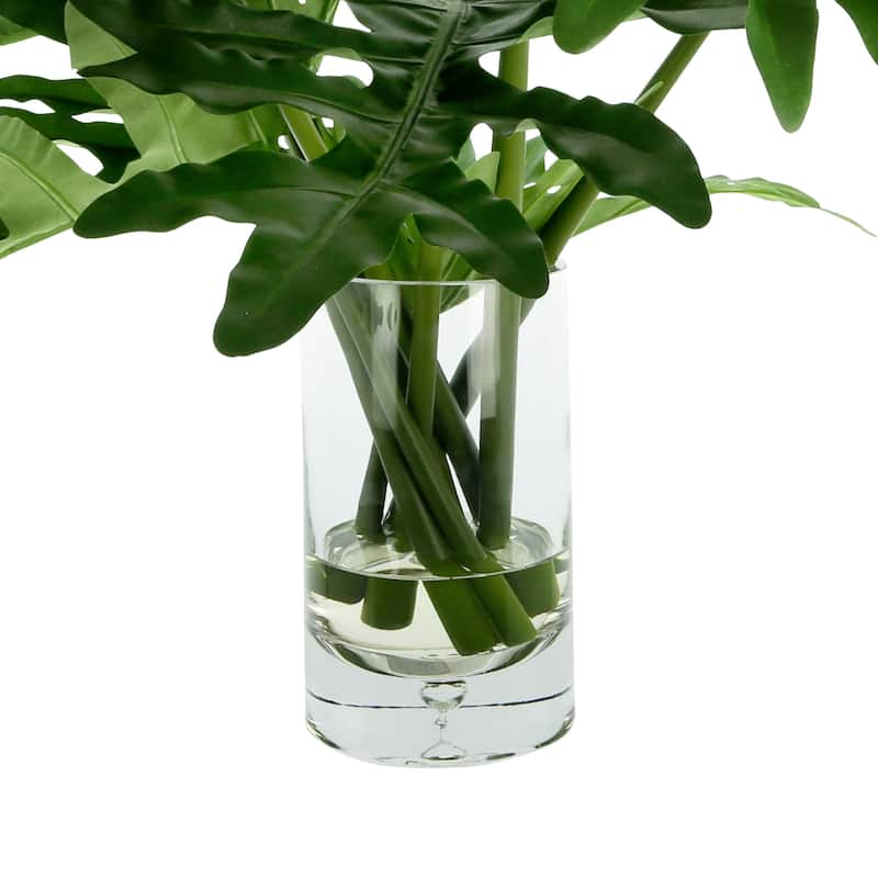 Organic Modern Philodendron Arranged in Glass Vase - Green