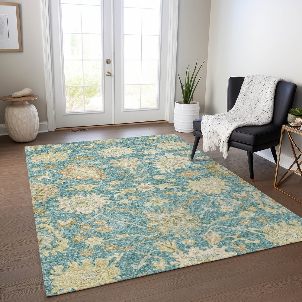 Machine Washable Indoor/ Outdoor Traditional Casual Chantille Rug
