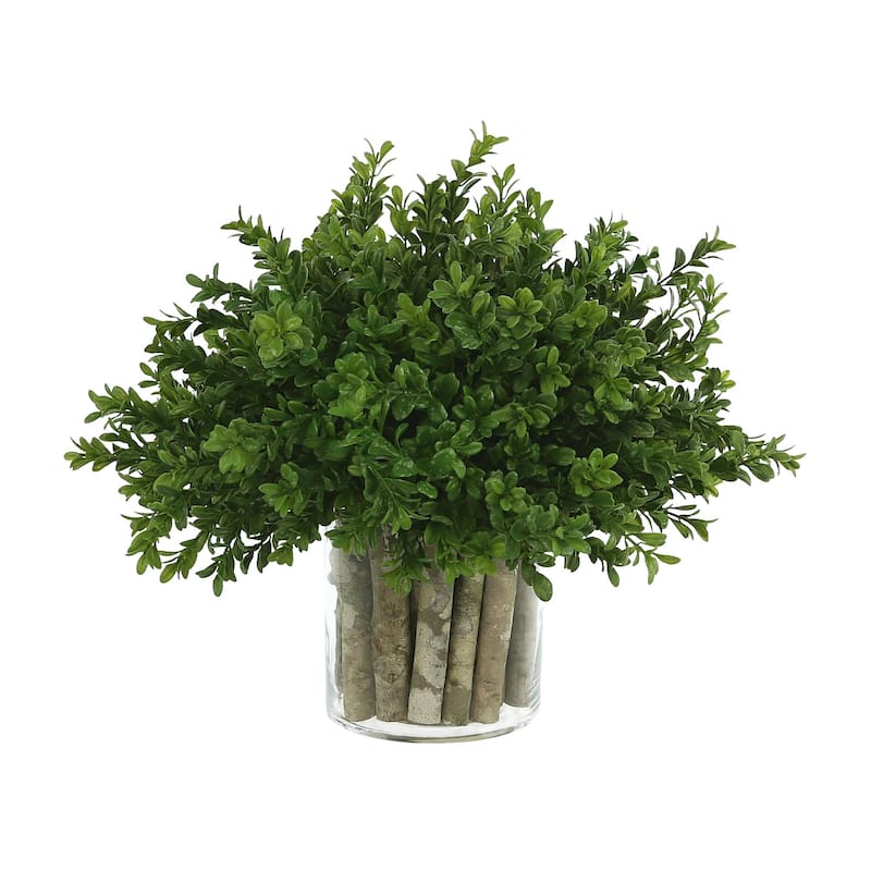 Boxwood in a Glass Vase with Birch Sticks - Green