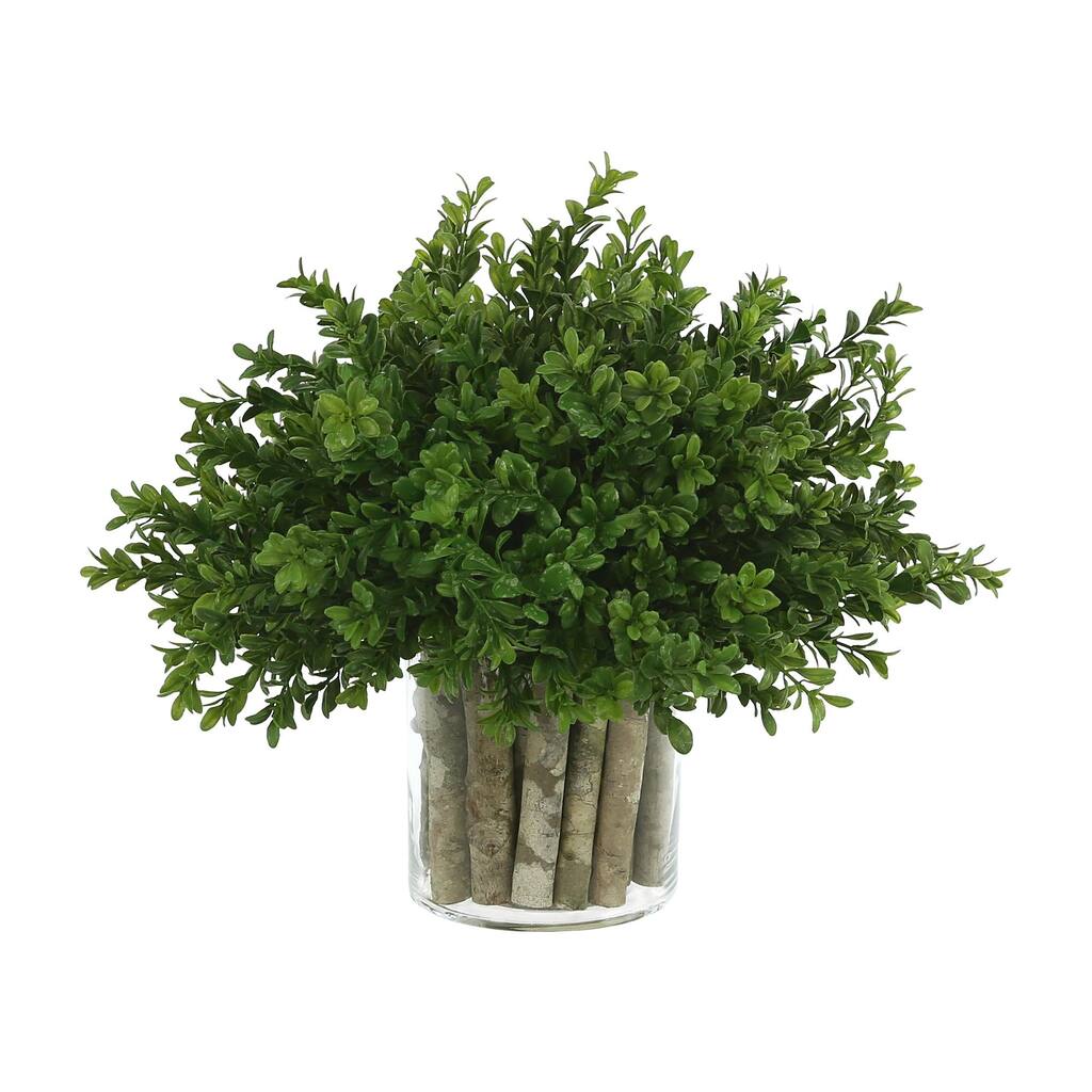 Boxwood in a Glass Vase with Birch Sticks - Green