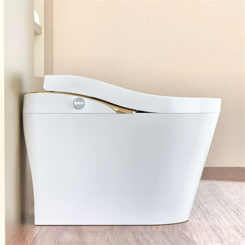 Smart Toilet with Bidet & Auto Flush