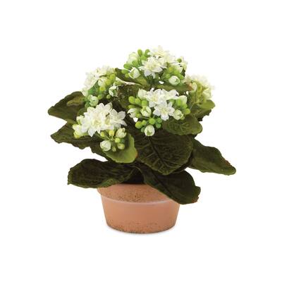 Multi Color Faux Potted Kalanchoe Plant Set of 4 with Polyester Leaves - 7.5” x 7.5” x 8” (L x W x H)