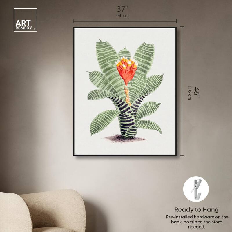 Tillandsia Musaica Plant Canvas by Art Remedy
