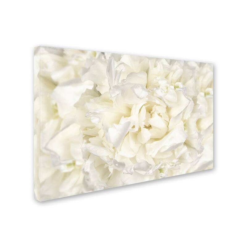 Cora Niele 'White Peony Flower' Canvas Art