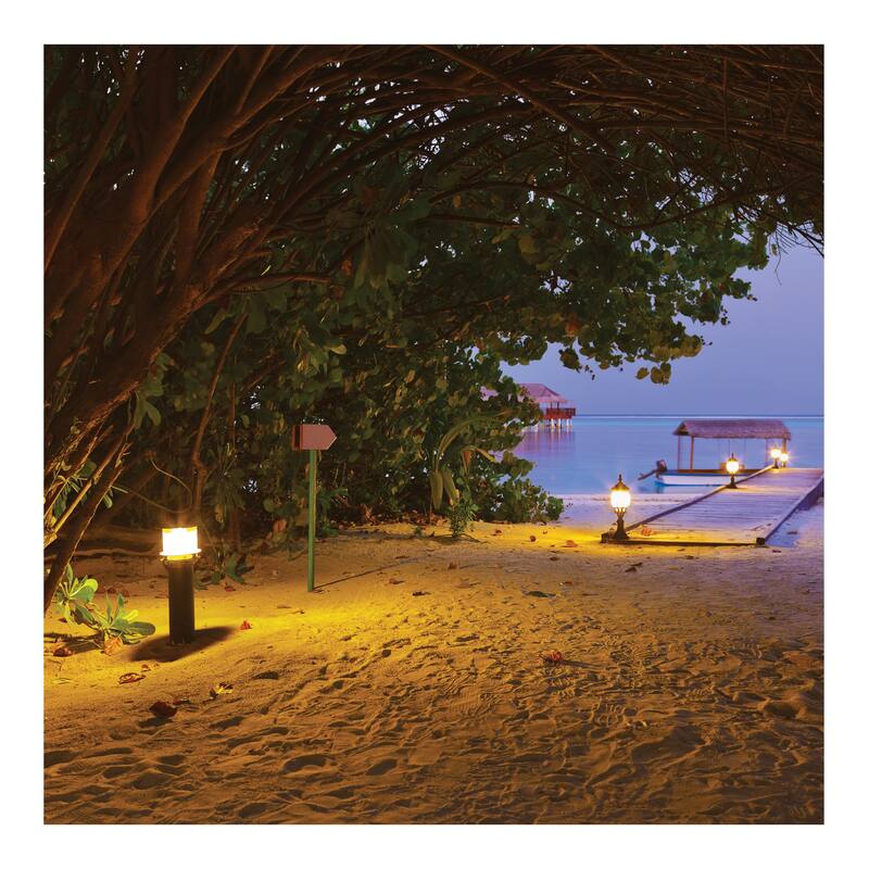 27 Watt 1600K Turtle Friendly 585Nm Amber Corncob - Dark Gray