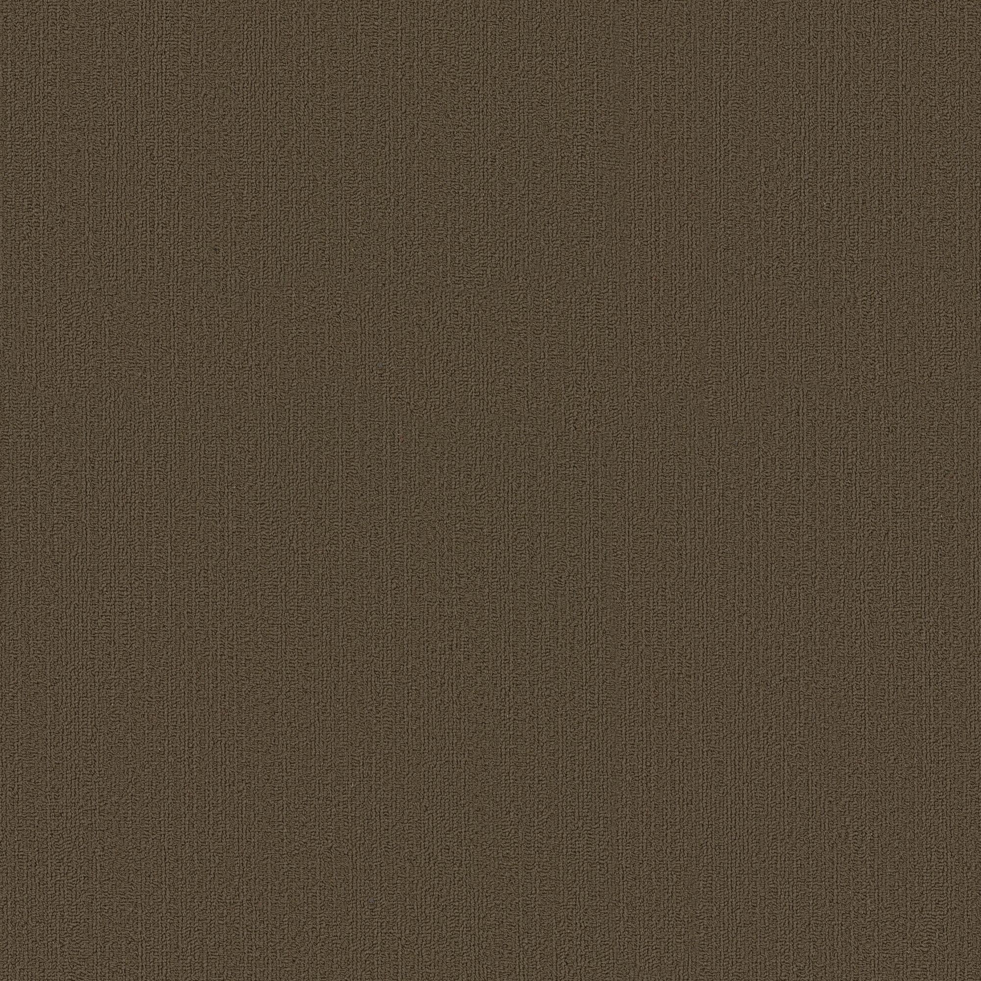 Shaw Philadelphia Commercial Color Accents TL 24" x 24" Glue Down