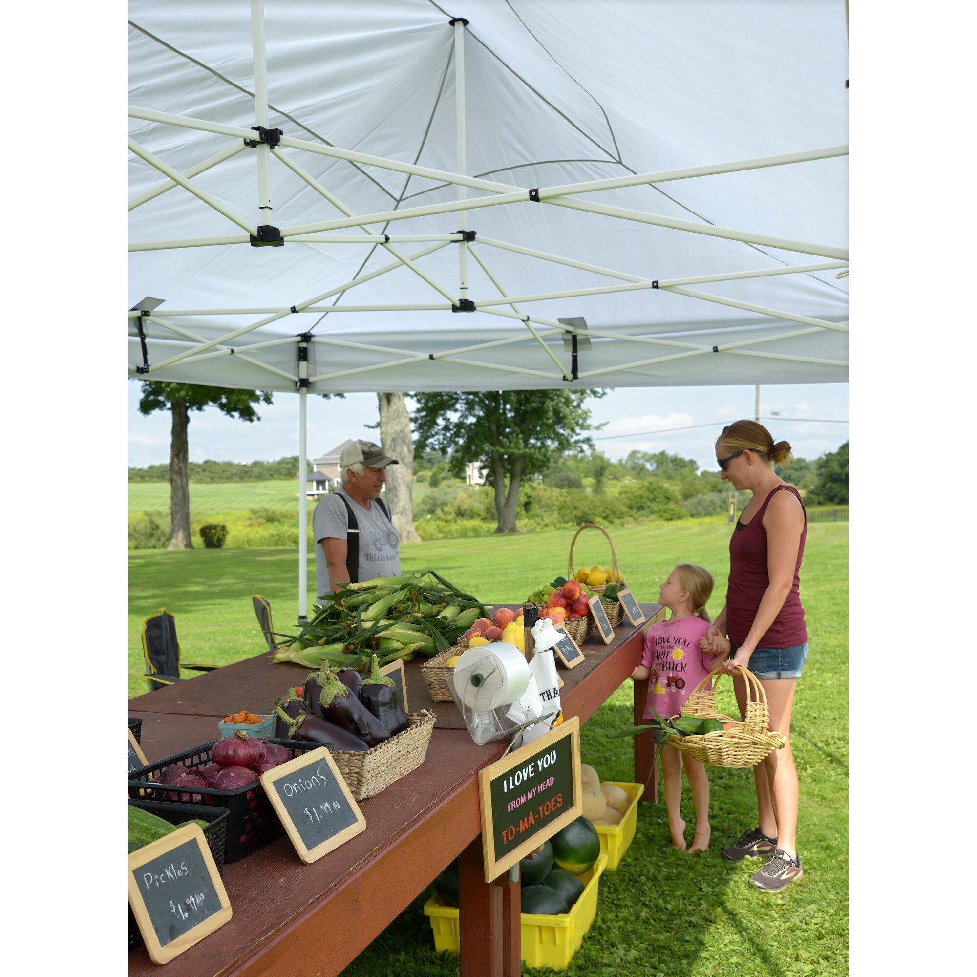 Quik shade commercial canopy new arrivals