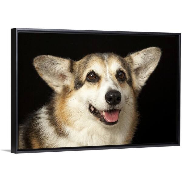 Corgi Slides - Black