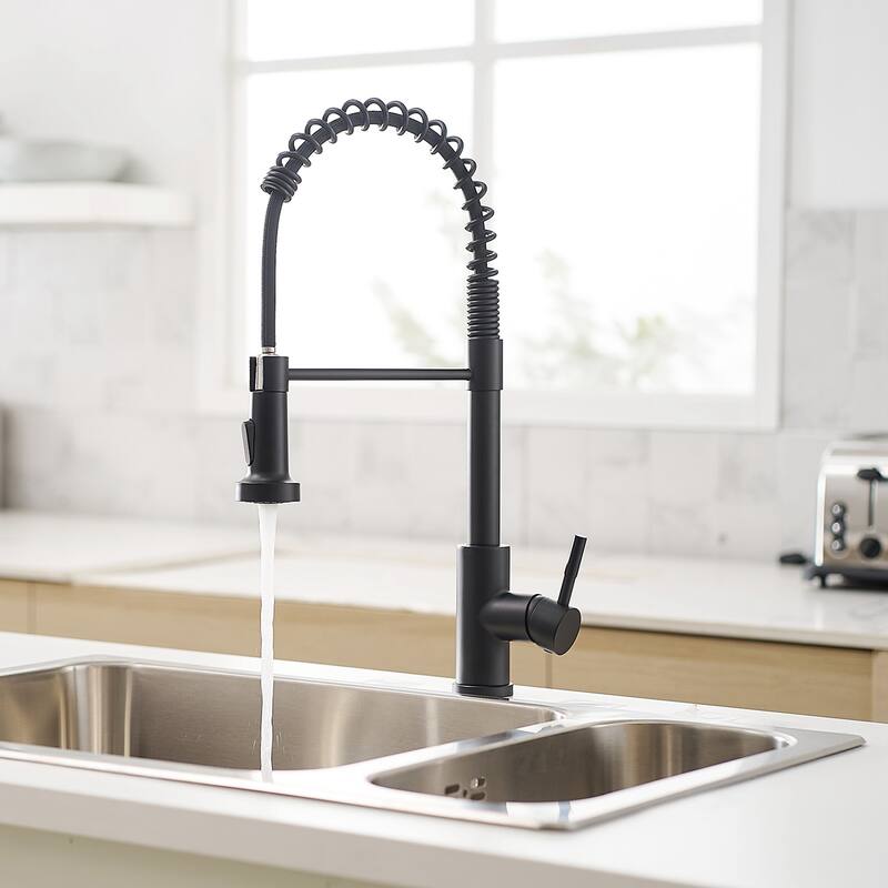 Single Handle Pull Down Kitchen Faucet with Double-Function