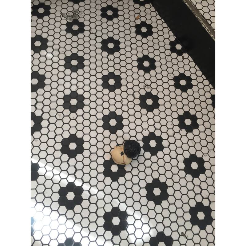 Industry Tile 10.23x11.81 Hex Flower White with Black Porcelain Mosaic (20 pc/ box)