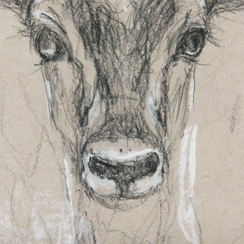 Sketch of Animal III (Antelope) Framed Art Print