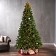 preview thumbnail 1 of 14, 9-foot Noble Fir Pre-Lit String Light or Unlit Hinged Artificial Christmas Tree by Christopher Knight Home Clear