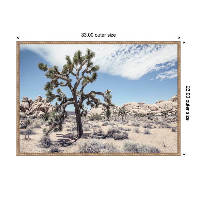 Yucca by Shot by Clint Framed Canvas Wall Art Print - 33 x 23 in