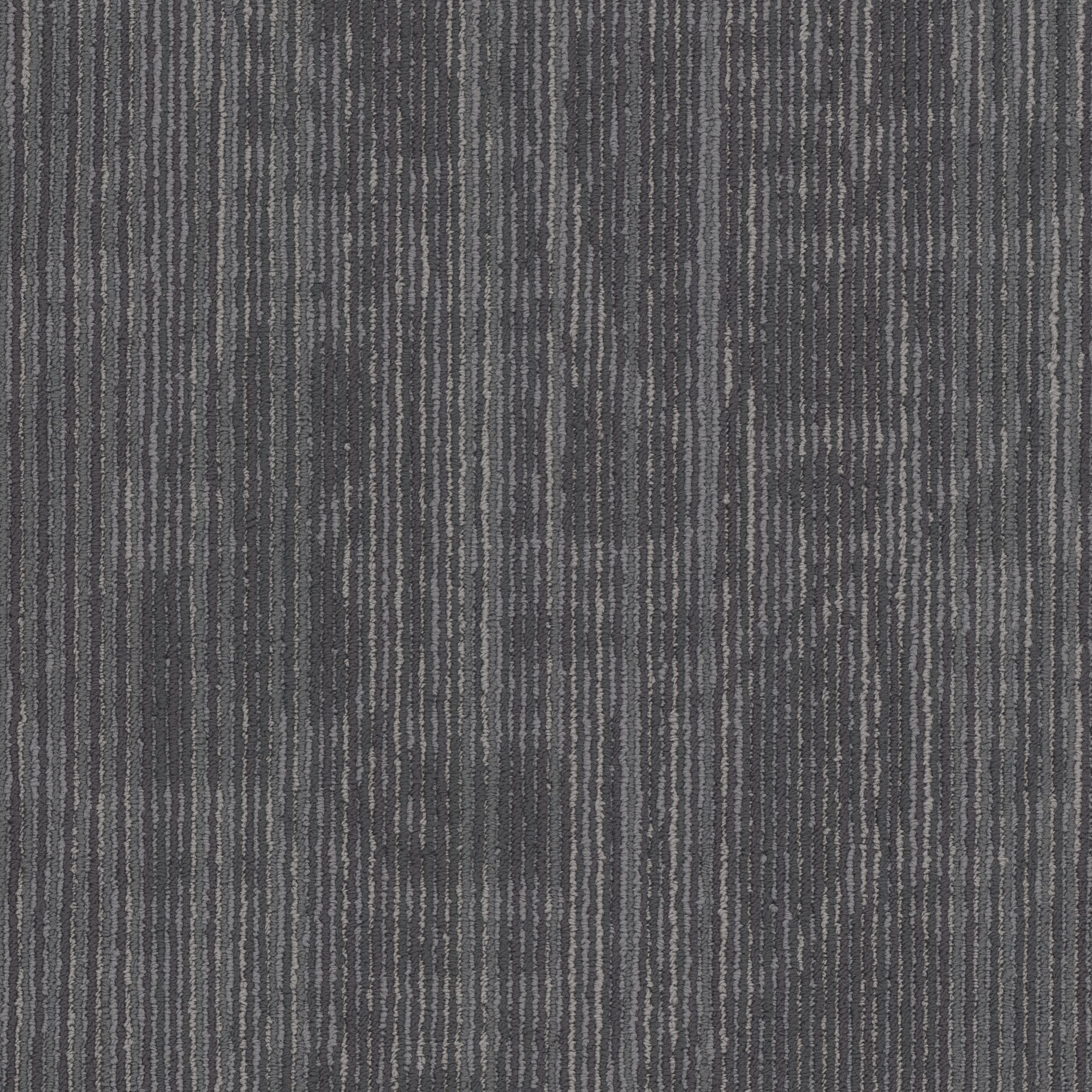 Shaw Philadelphia Commercial Encrypt 18" x 36" Glue Down Carpet Tile -