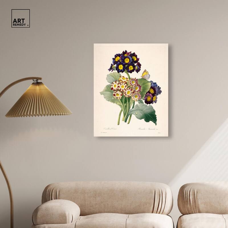 Auricula Varieties Canvas by Art Remedy, Gallery Wrapped