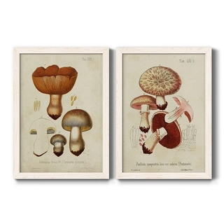 Mushroom Varieties I Premium Framed Canvas - Ready to Hang - Multi ...