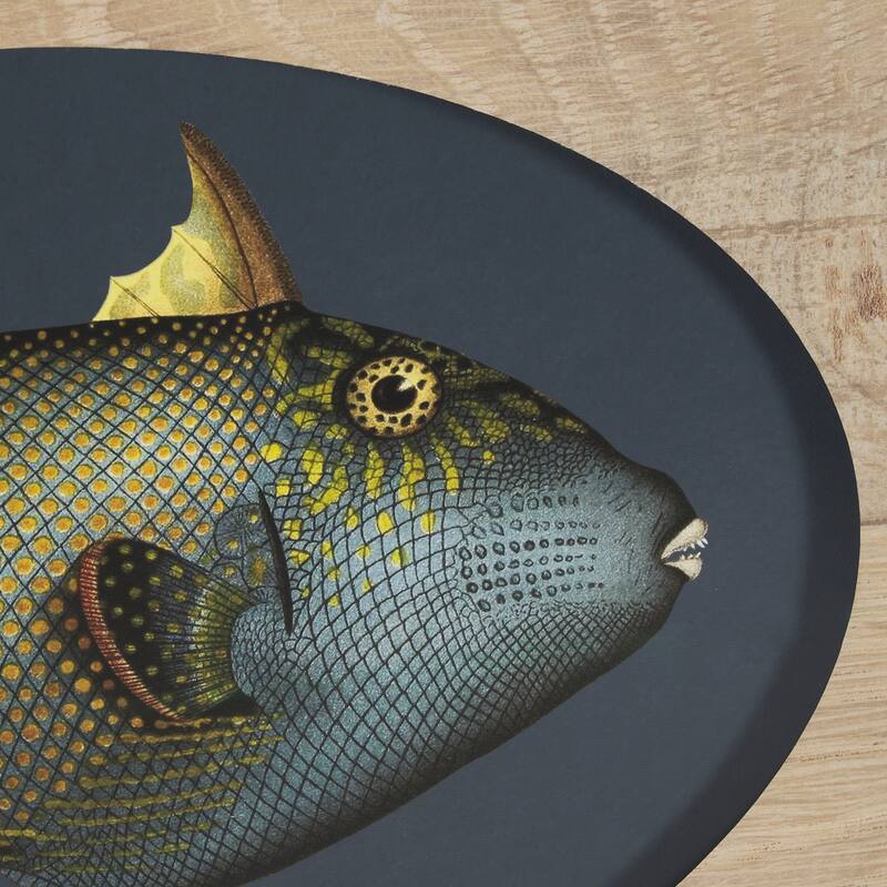 Pseudobalistes Fuscus Framed Art Print