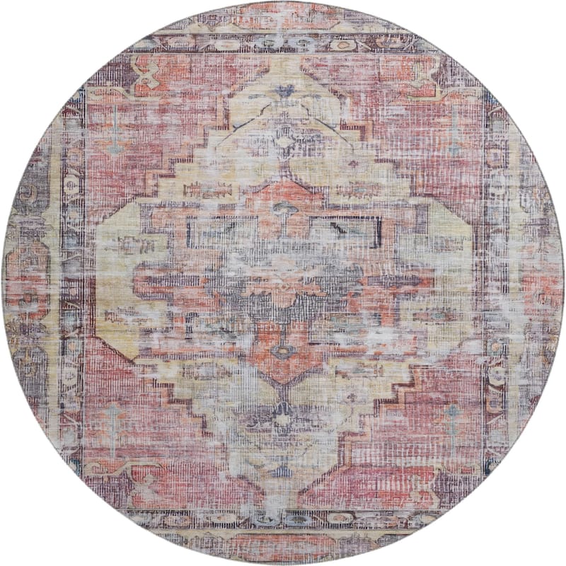 Premium Washable Super Soft Vintage Traditional Mayfield Rug