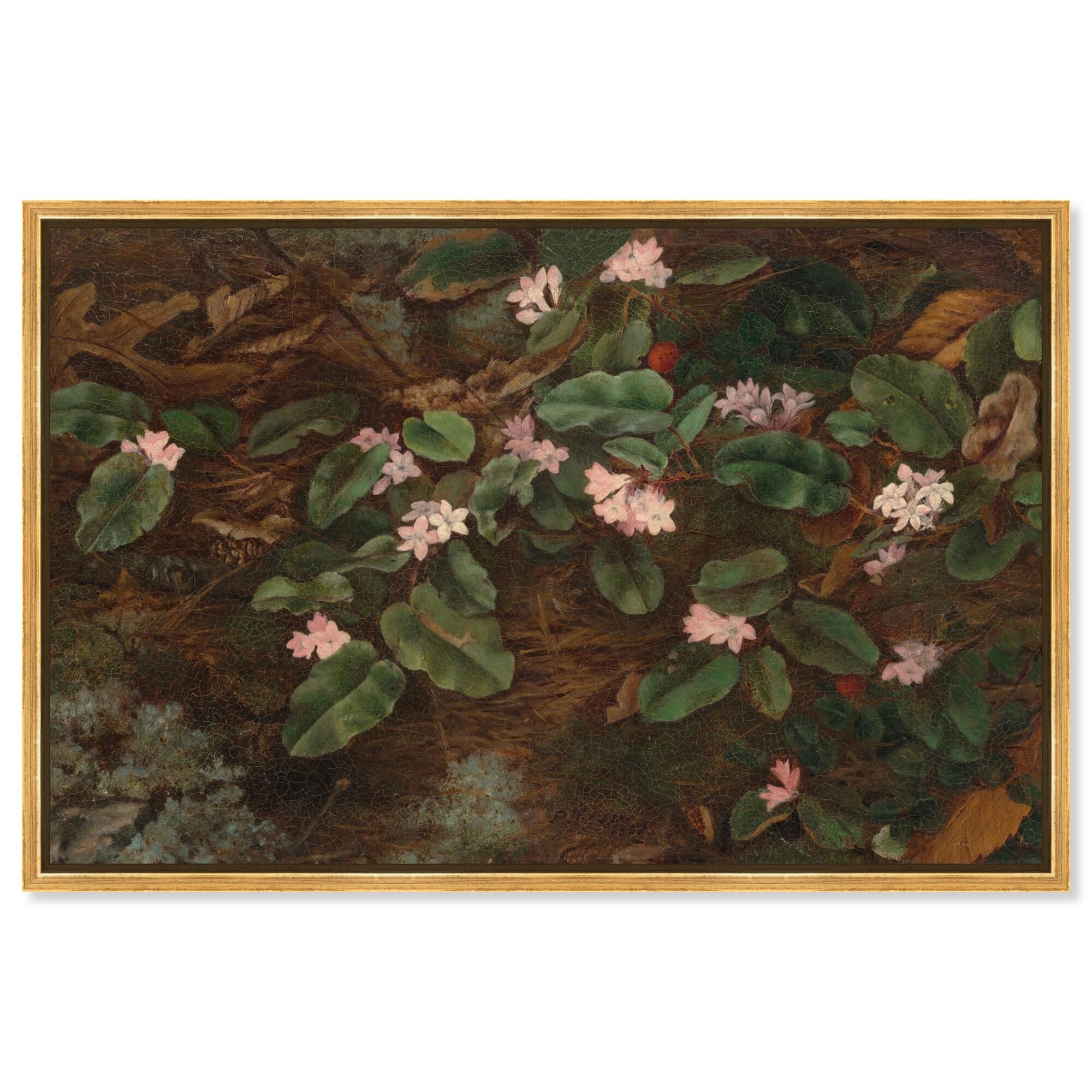 Vision of the Forest Vintage Decor Framed Canvas Print by Art Remedy