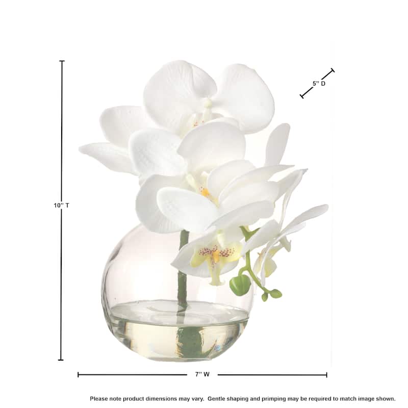 Phaleanopsis X6+3 Bud In Illusion 10"