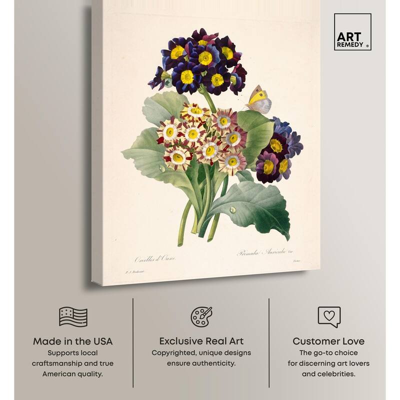 Auricula Varieties Canvas by Art Remedy, Gallery Wrapped