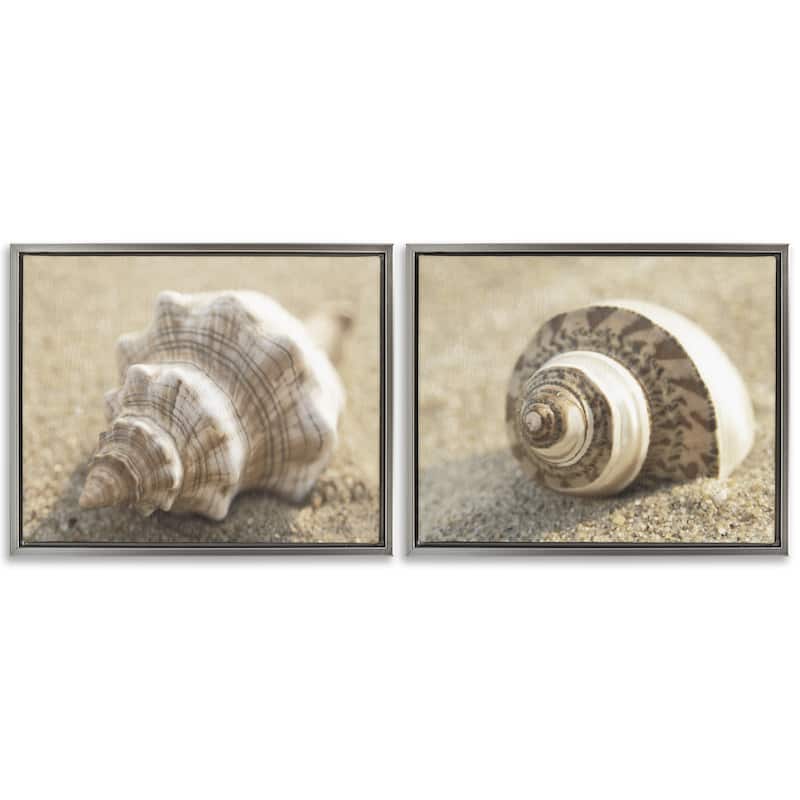 Stupell Neutral Tone Sea Life Framed Floater Canvas Wall Art Design By Dora Rotondella (Set of 2) - 21 x 17 - Grey