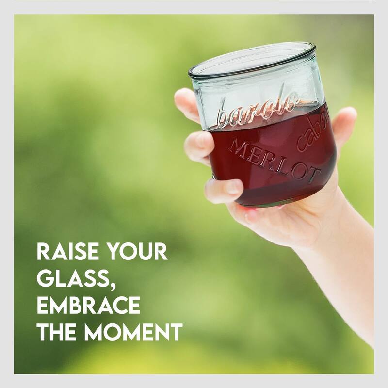 Amici Home Set of 6 Vino Stemless Wine Glasses - 12 oz