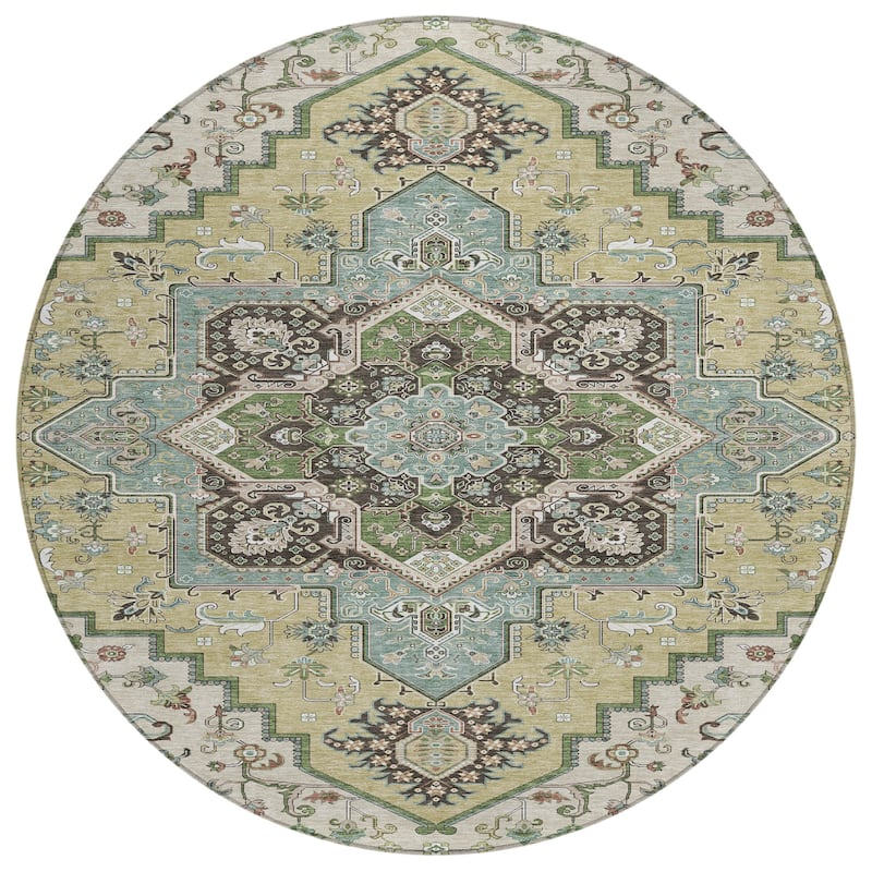 Machine Washable Indoor/ Outdoor Persian Traditional Chantille Rug