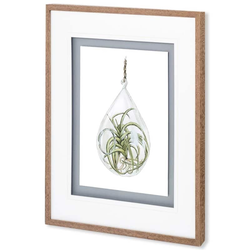 Air Plant 3 Framed Art Print