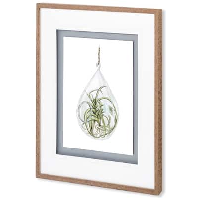 Air Plant 3 Framed Art Print