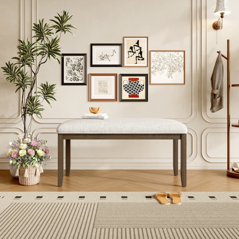 Modern & Contemporary Bench with Cushuion