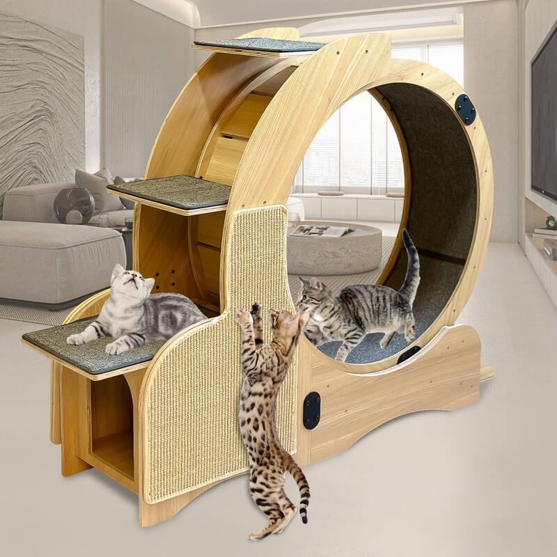 Cat Exercise Wheel With Silent Wheel Wood