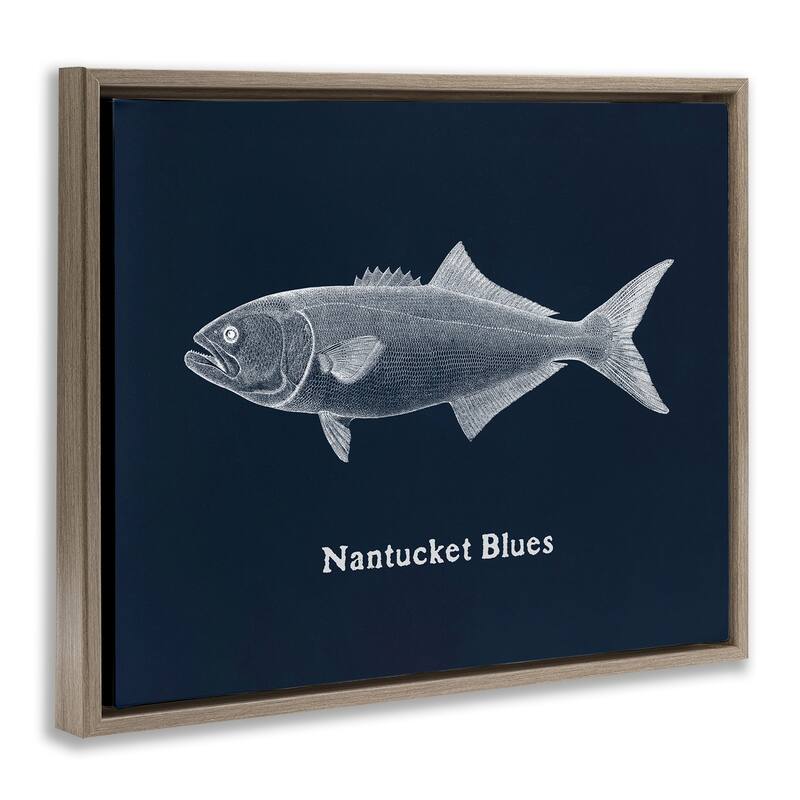 Stupell Nantucket Blues Fish Framed Floater Canvas Wall Art Design By Phillipa Katz