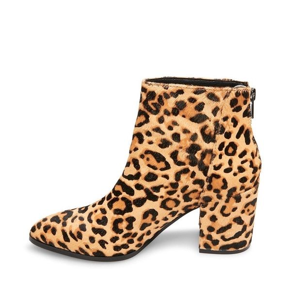 Steve Madden Jillian Snake 2024 andyludlum